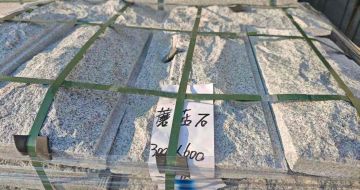 甘肃芝麻白蘑菇石，自然面