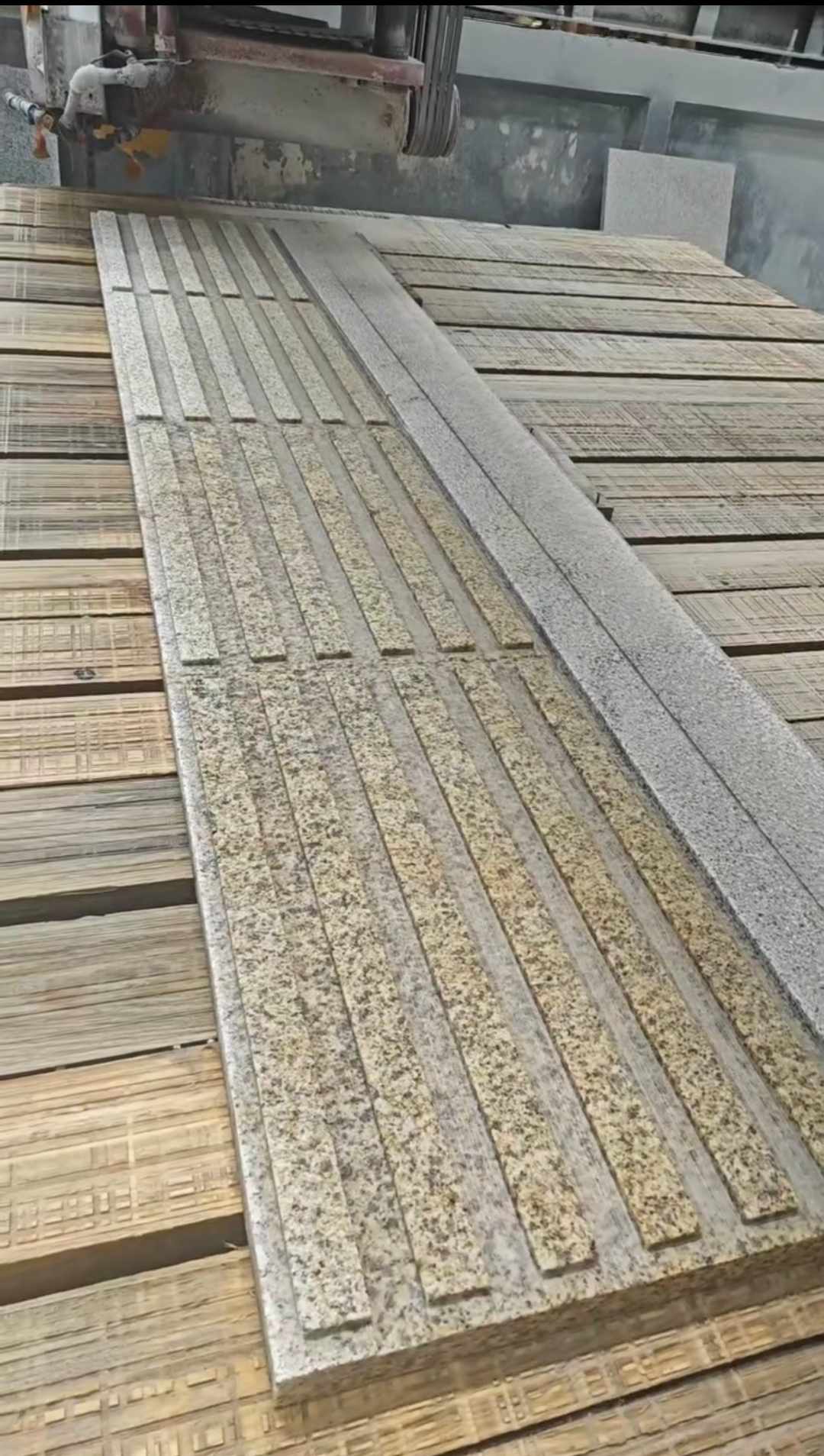 甘肃黄金麻盲道石 盲条